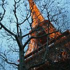 Eifelturm (Copyright Tour Eiffel - Illuminations Pierre Bideau)