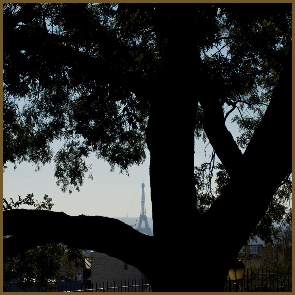 eifelturm im baum