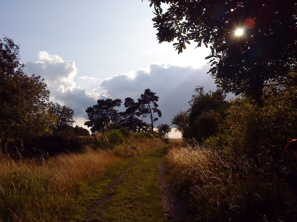 Eifelwanderung