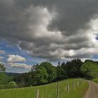 Eifelwanderung