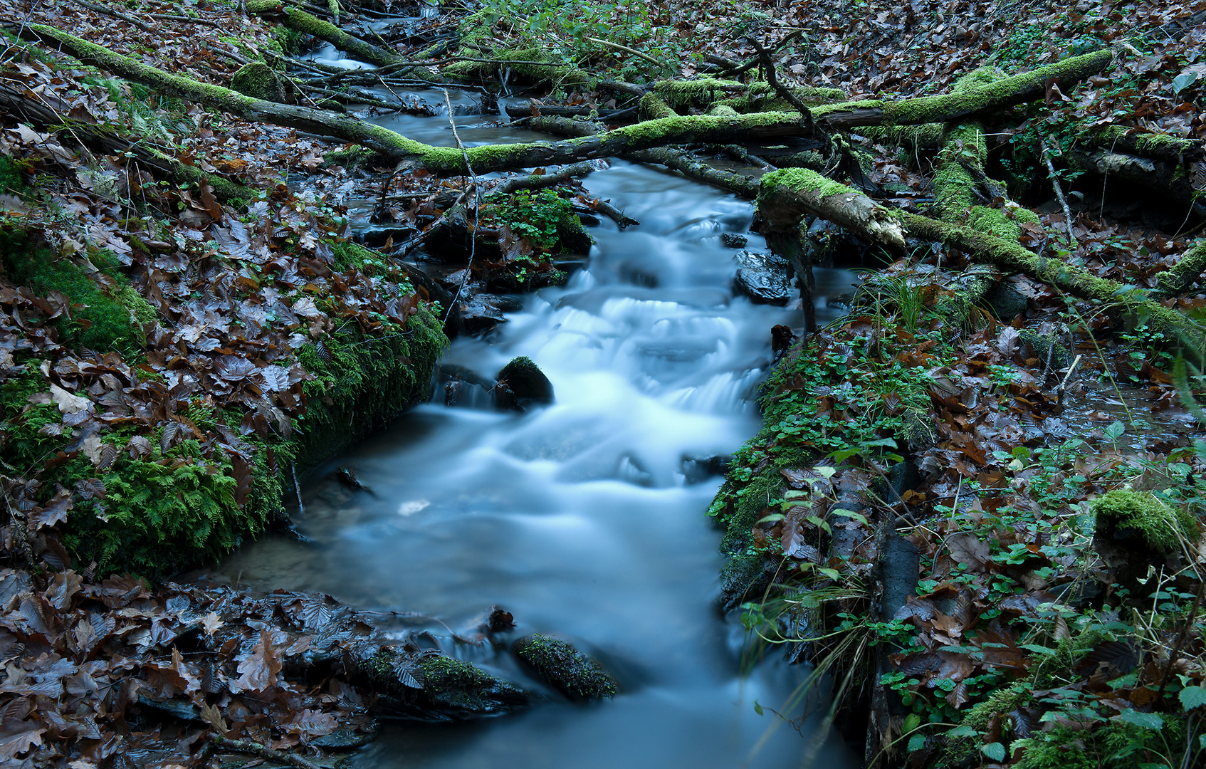 Eifelwasser #2