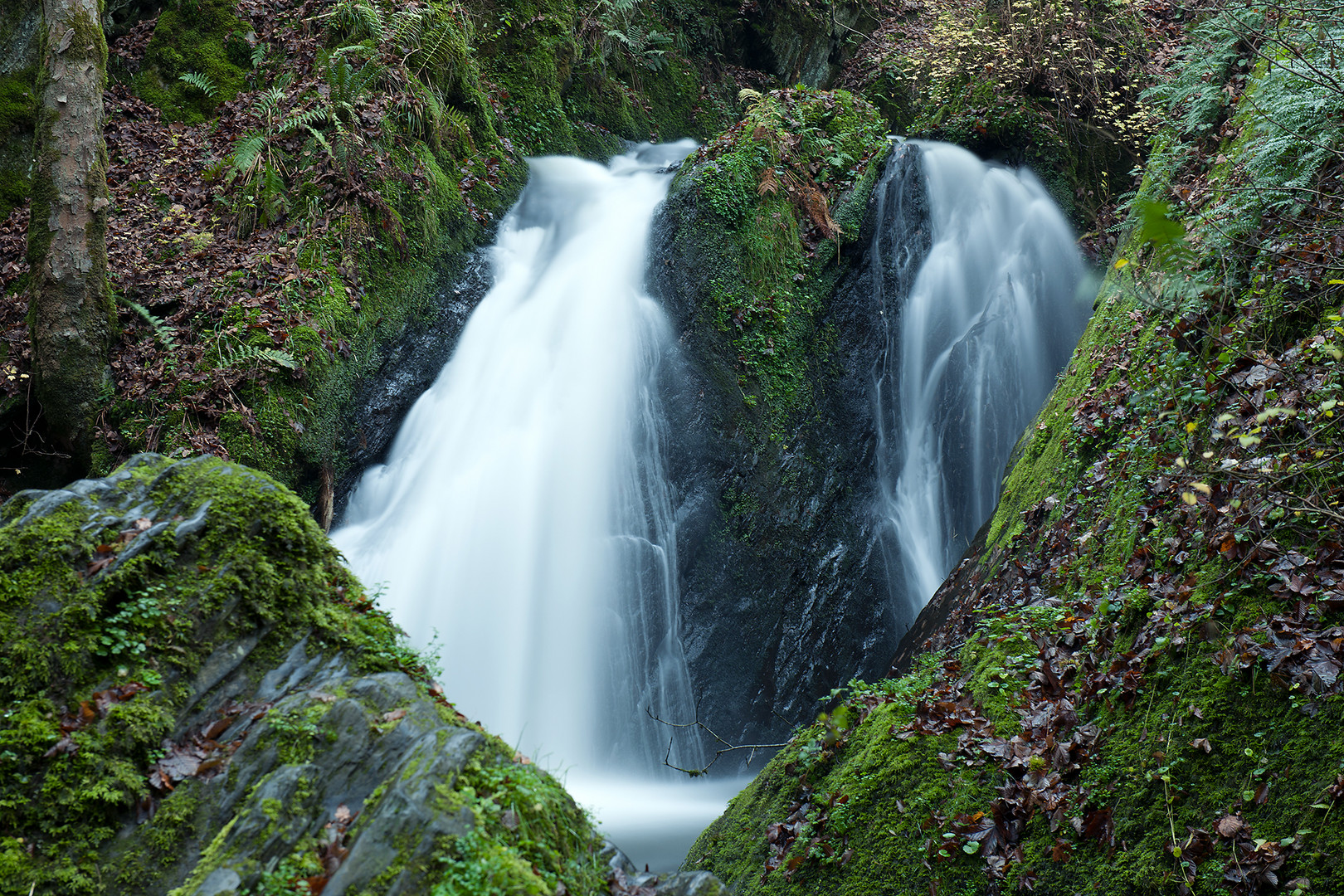 Eifelwasser #3