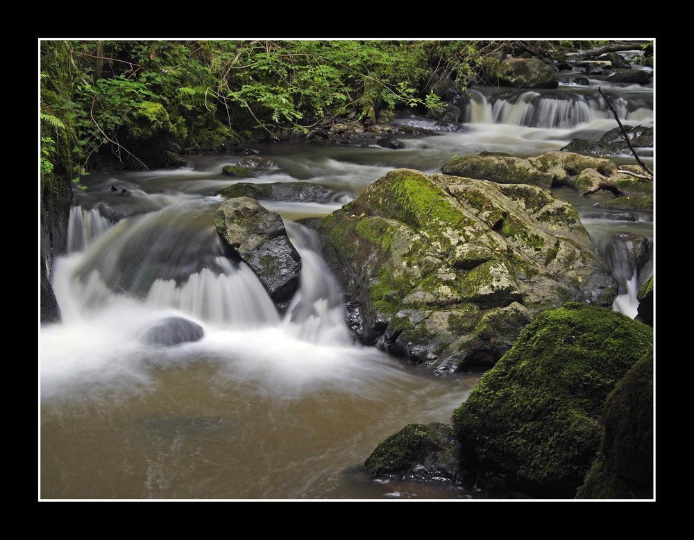 Eifelwasser