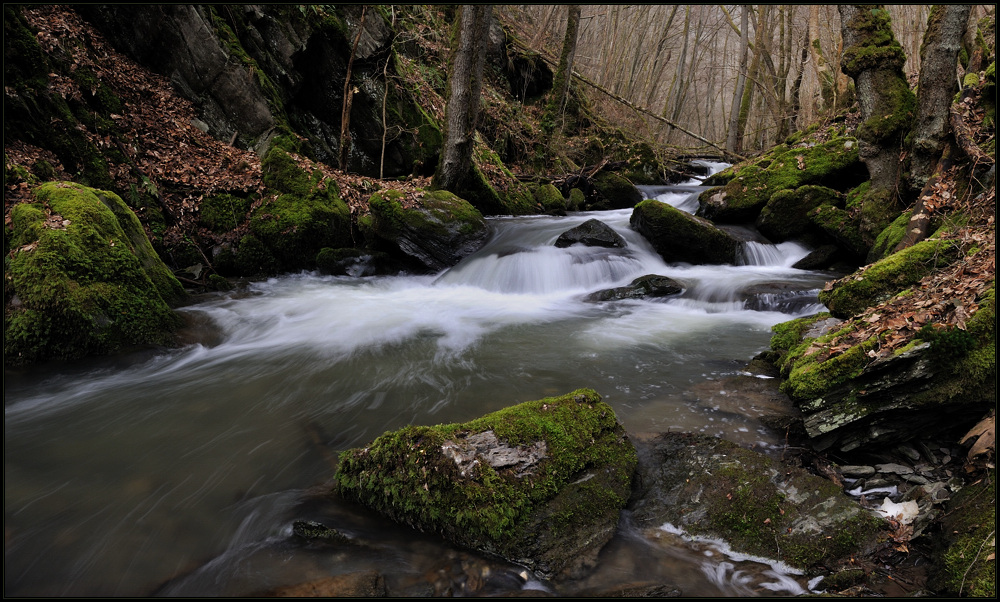 *Eifelwasser 5*