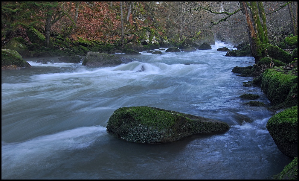 Eifelwasser V