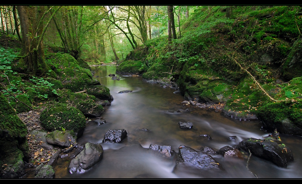 Eifelwasser VI