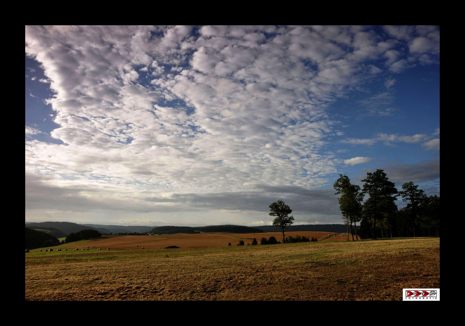 Eifelweitblick