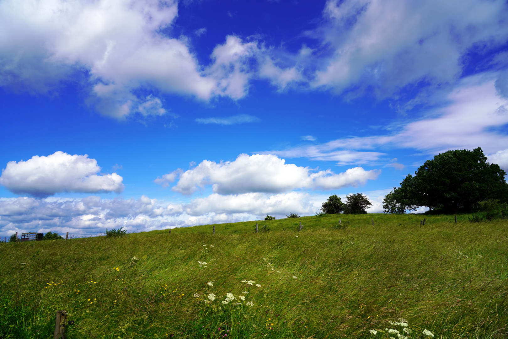 Eifelwiese und Wolken bei Sistig (Nordeifel)