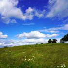 Eifelwiese und Wolken bei Sistig (Nordeifel)