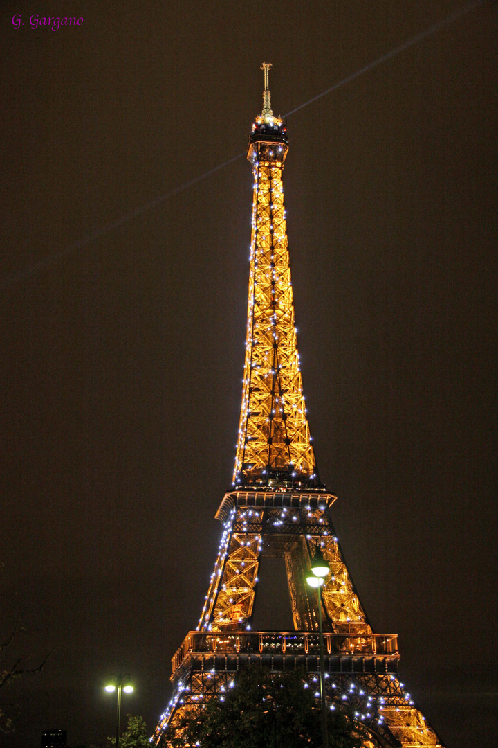 Eiffel night.