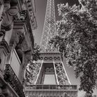 Eiffel Tower