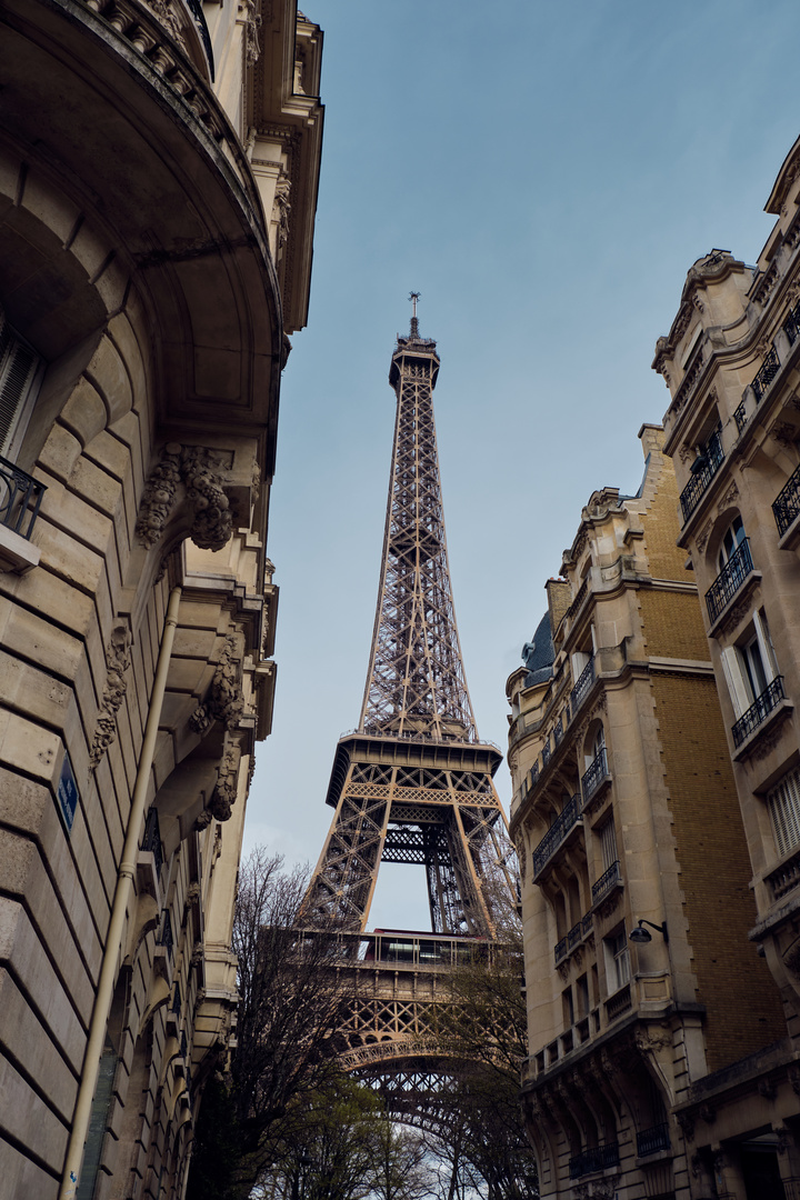 Eiffel Tower / Paris