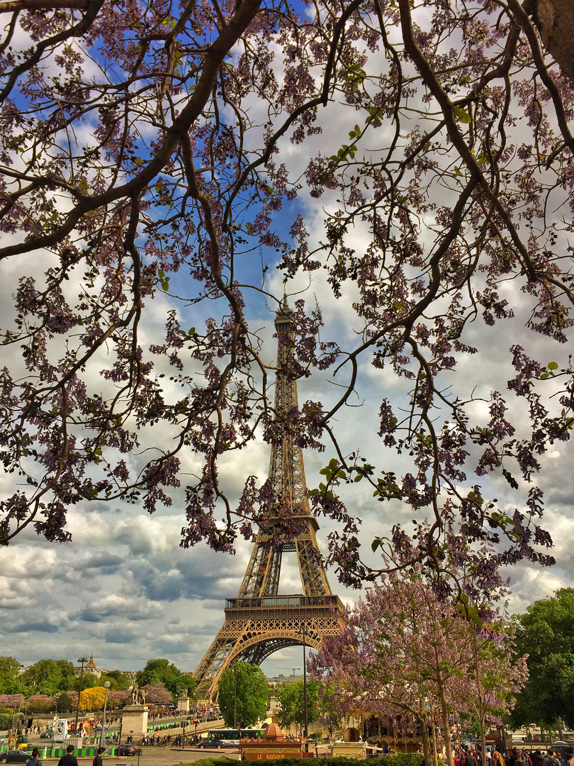 Eiffelturm flower