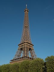 Eiffelturm hinter Hecke
