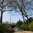 Eiffelturm im Frühling