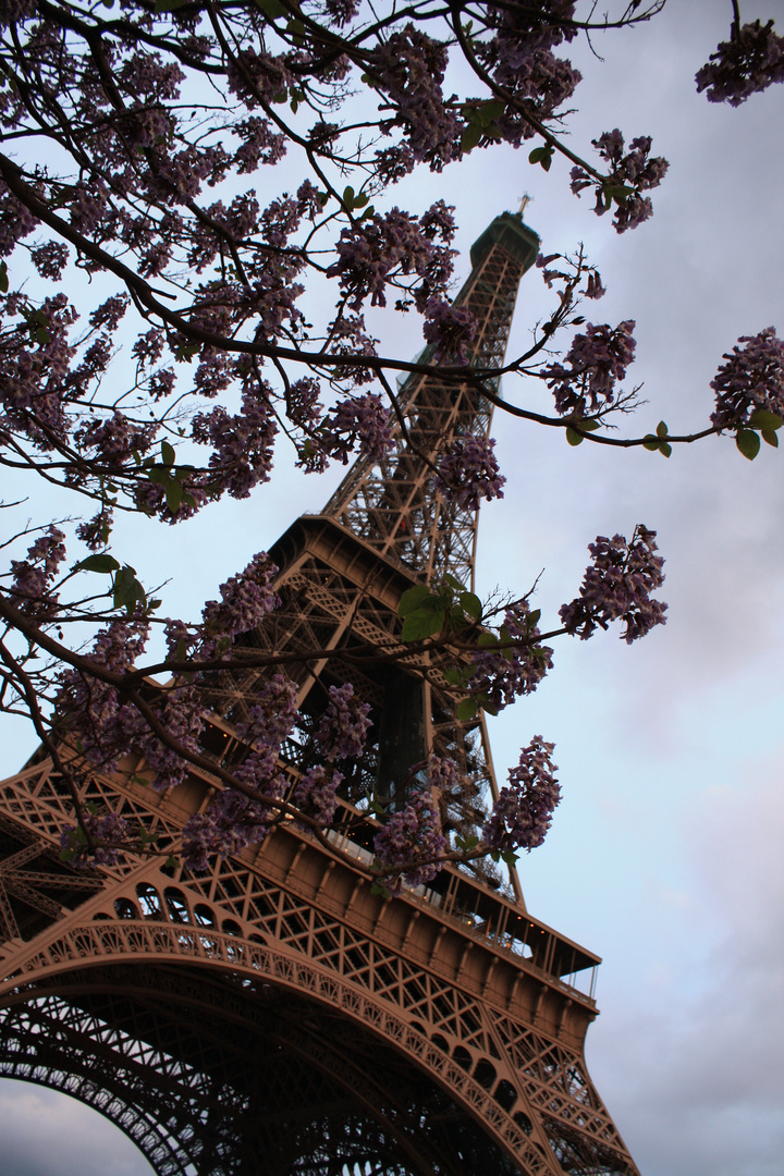 Eiffelturm im Frühling