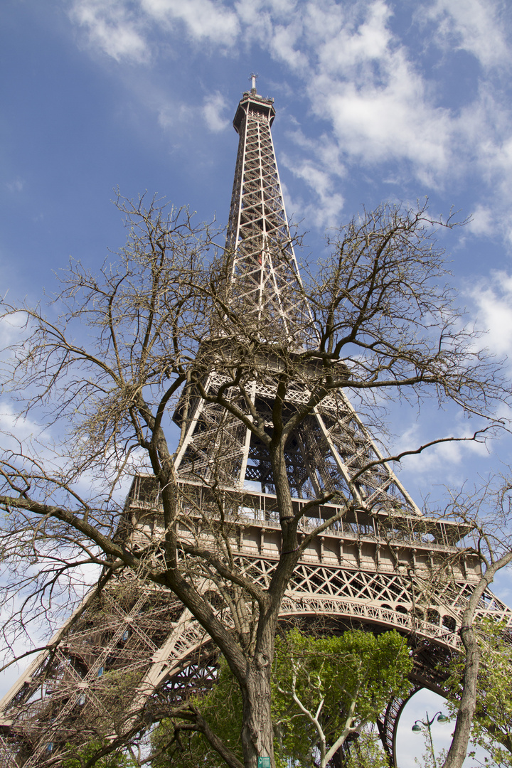 Eiffelturm im Mai