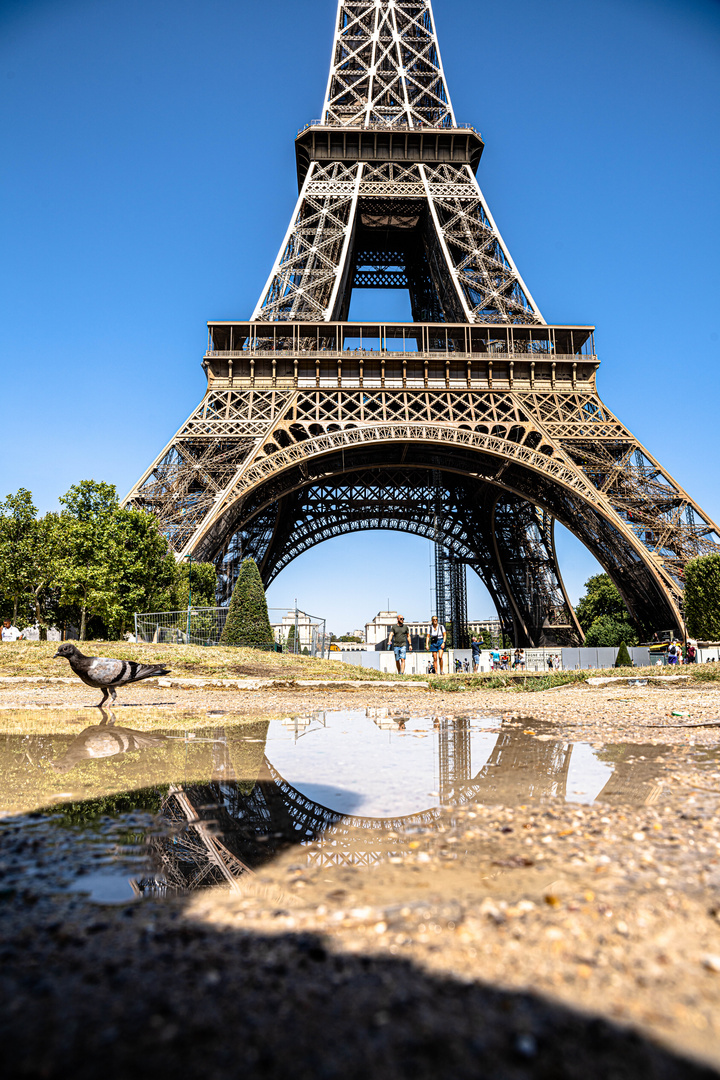 Eiffelturm mit Spiegelung