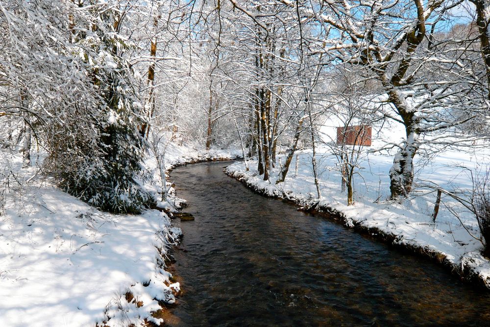 Eifgental im Winter II
