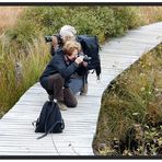 Eifrige Fotografinnen bei der Arbeit