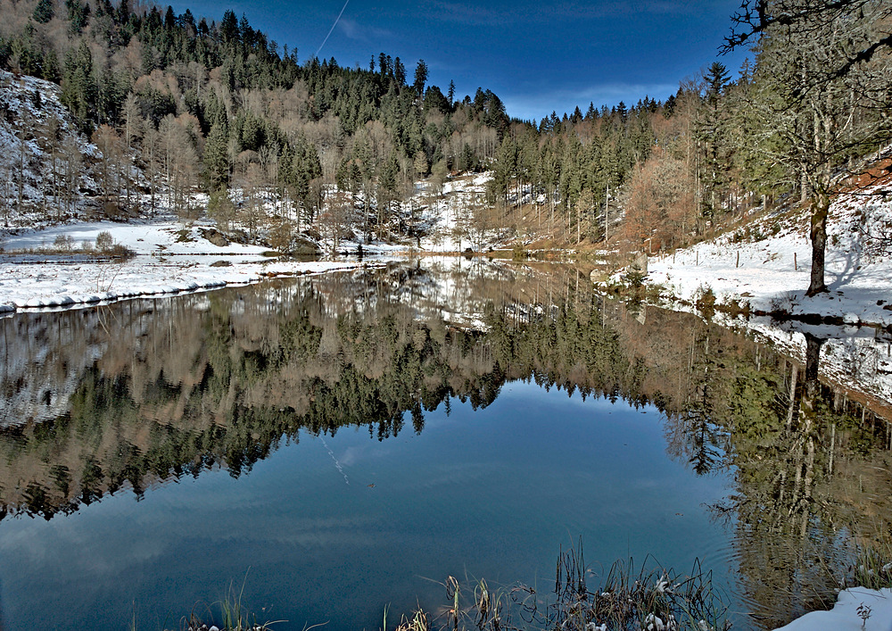 Eigendlich wollte ich Herbstbilder aufnehmen am 31.10.12 Nr.1