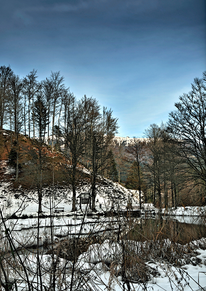 Eigendlich wollte ich Herbstbilder aufnehmen am 31.10.12 Nr.5