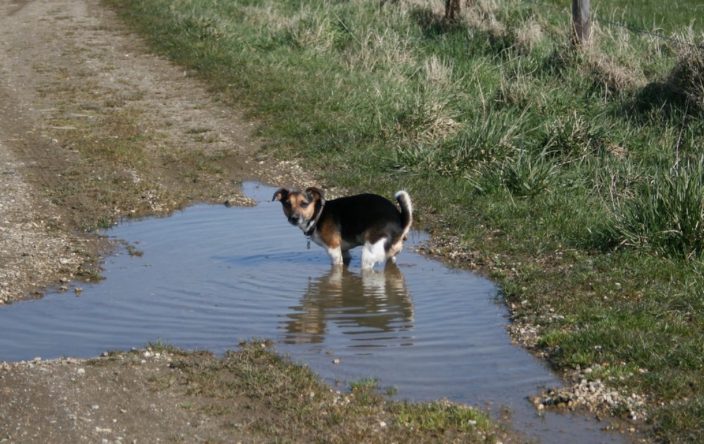 Eigenes Klo mit Wasserspülung....sehr reinlich!