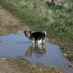 Eigenes Klo mit Wasserspülung....sehr reinlich!