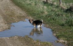 Eigenes Klo mit Wasserspülung....sehr reinlich!