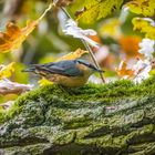 "EIGENTLICH DOCH MEHR EIN STIMMUNGSBILD" - oder?