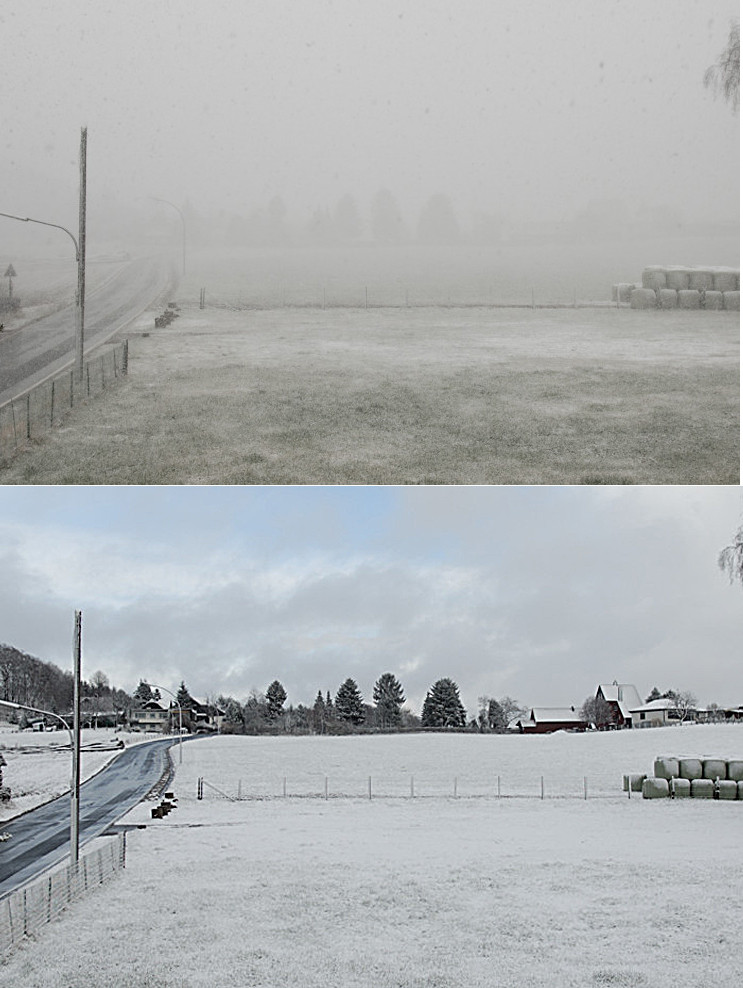 Eigentlich haben wir Frühling............eigentlich