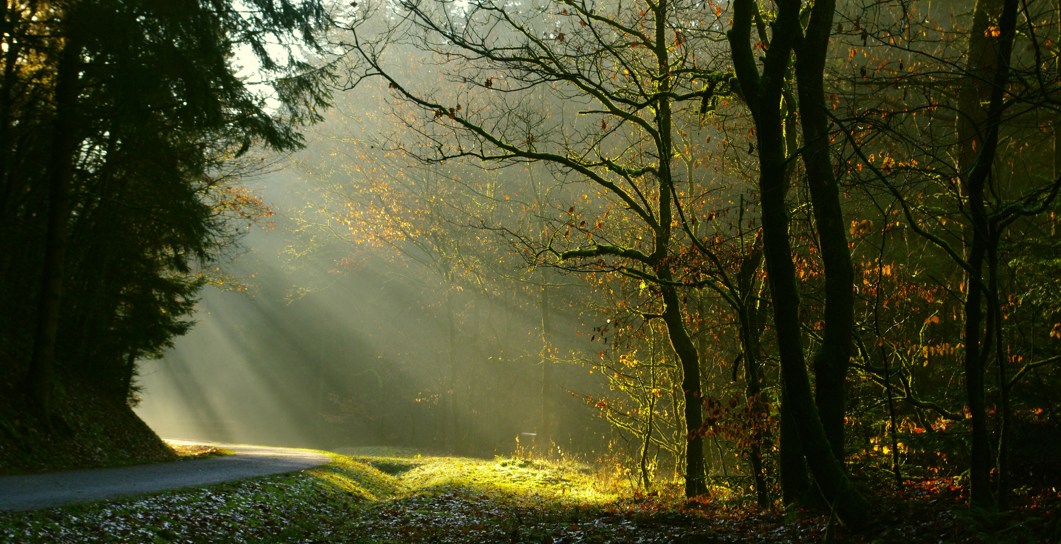 eigentlich Herbst....