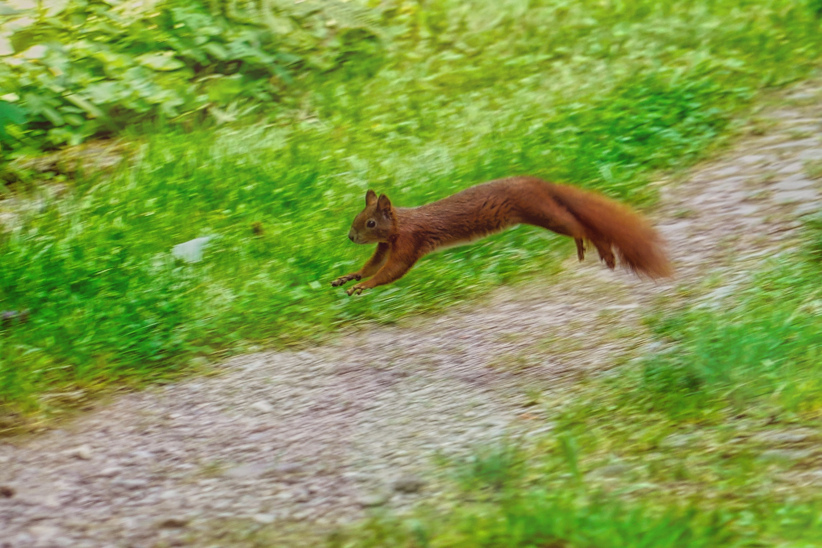 eigentlich ist es ja ein Vogelhaus......