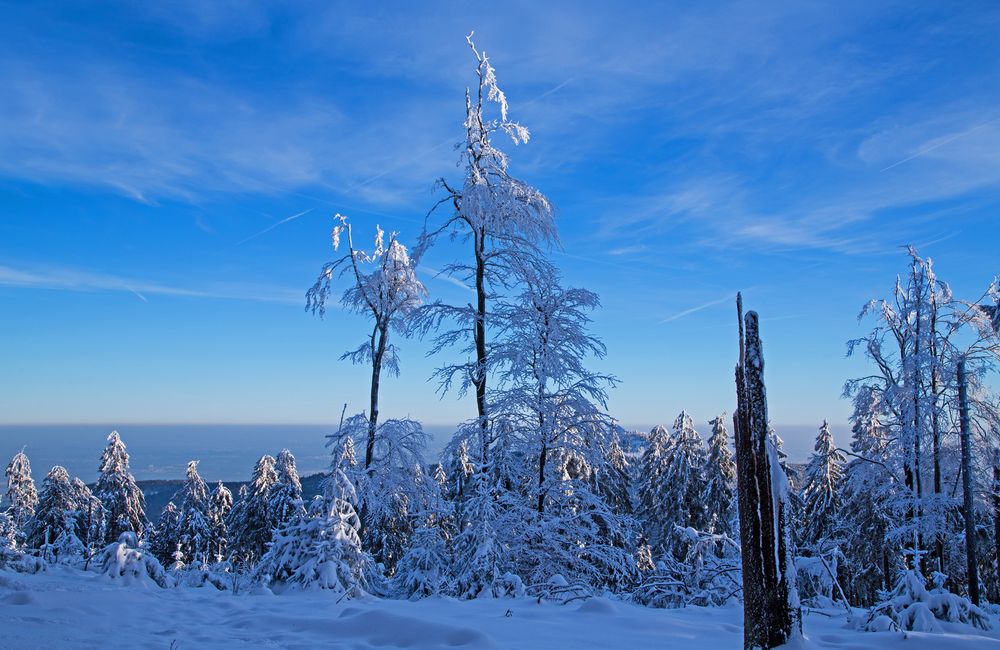 Eigentlich ist Winter