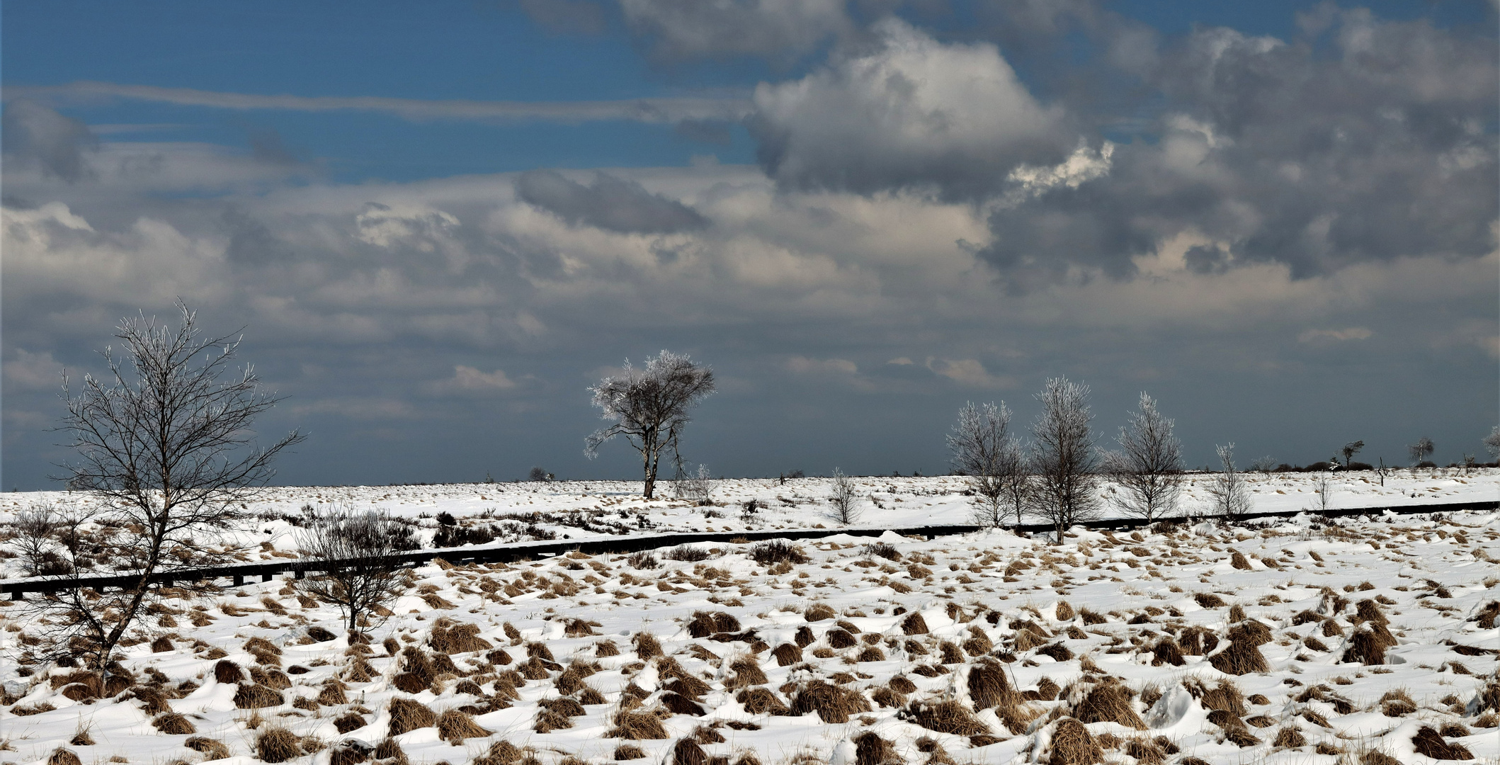 Eigentlich wäre Frühling APRIL APRIL Foto & Bild landschaft