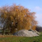 eigentlich wäre jetzt Winter ---