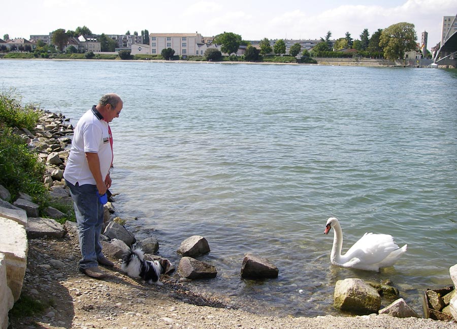 Eigentlich wollte ich die Dreländerbrücke fotografieren: