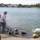 Eigentlich wollte ich die Dreländerbrücke fotografieren: