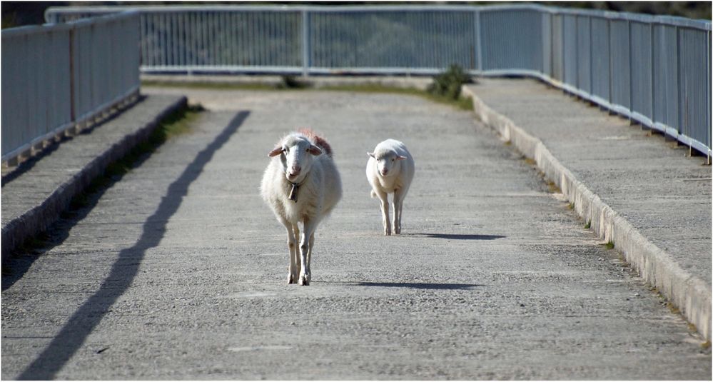 Eigentlich wollten …..