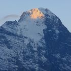 Eiger am Morgen