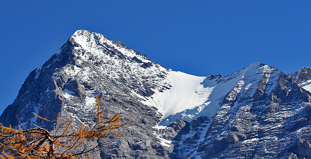 Eiger aus dem Zug heraus