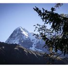 Eiger - Berner Oberland