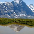 Eiger im Spiegel