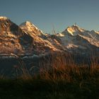 Eiger, Mönch, Jungfrau