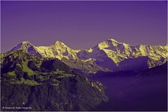 Eiger Mönch & Jungfrau