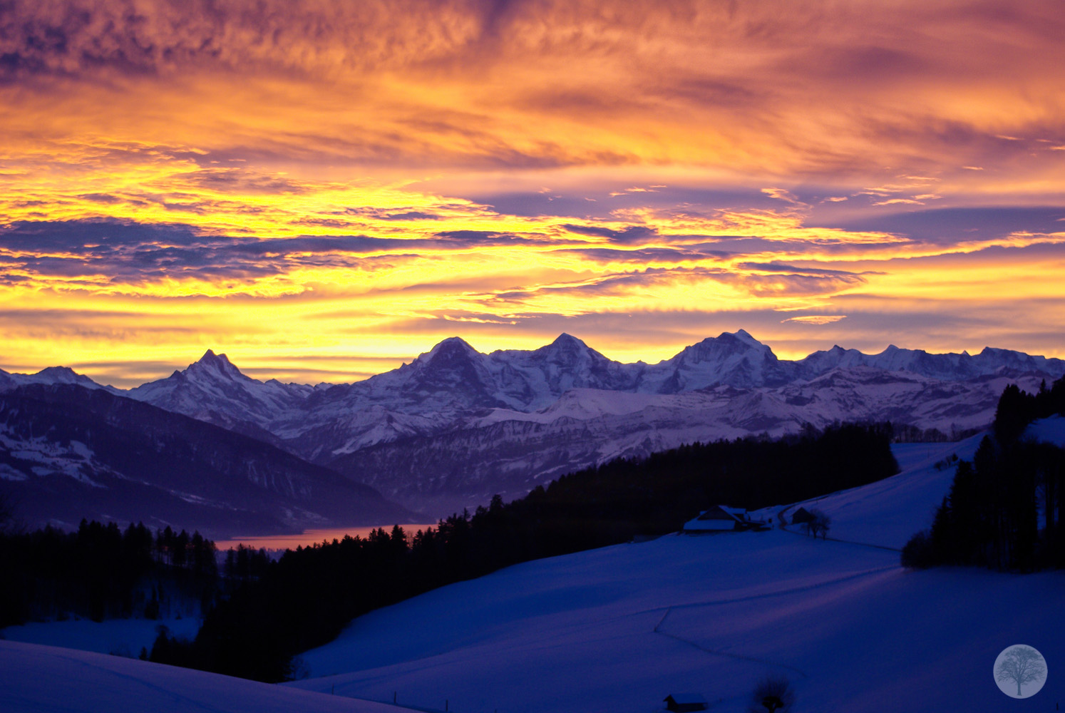 Eiger - Mönch - Jungfrau am Morgen