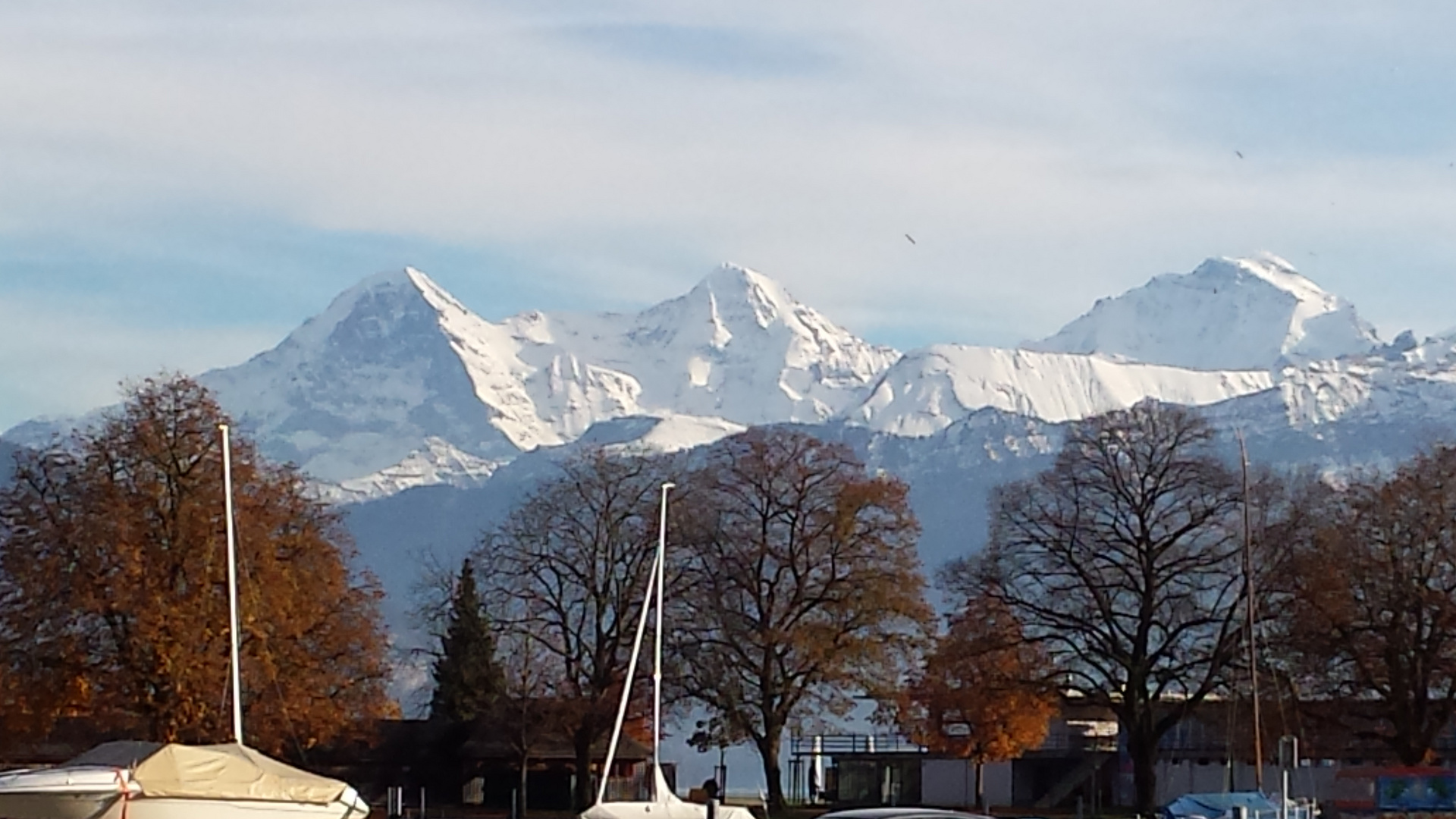 eiger mönch jungfrau