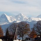 eiger mönch jungfrau