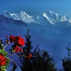 Eiger-Mönch-Jungfrau Massif