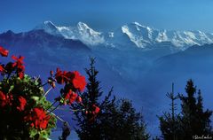 Eiger-Mönch-Jungfrau Massif